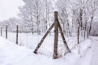 Kışın dikenli tel örgü