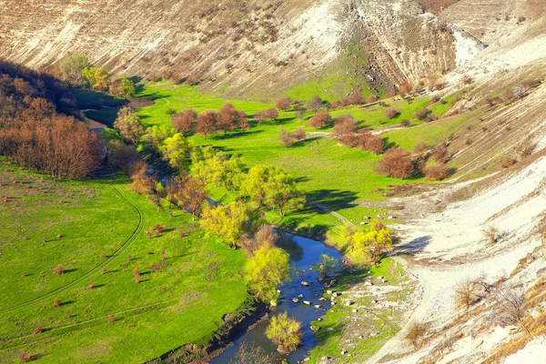 Vista Aérea Del Campo Verde Río Que Fluye Primavera —  Fotos de Stock