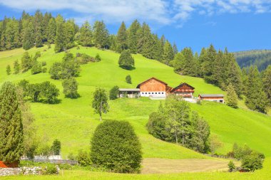 köy yeşil tepe üzerinde