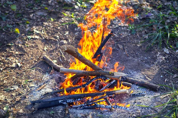 뜨거운 불씨로 불타는 불꽃의 클로즈업 이미지 — 스톡 사진
