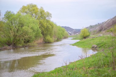 Bahar sahne yeşil doğa ve Nehri akan su ile 