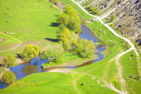 Widok Lotu Ptaka Naturalnej Scenerii Zielonej Łąki Rzeka — Zdjęcie stockowe