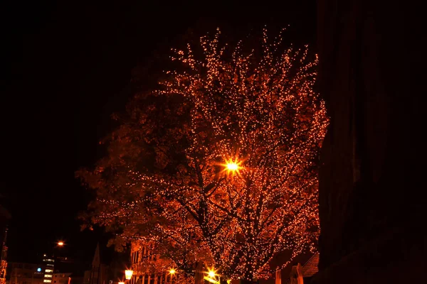 Pohon Jalan Dihiasi Dengan Lampu Natal — Stok Foto