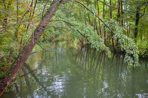 Paisagem Fluvial Entre Árvores Verdes — Fotografia de Stock