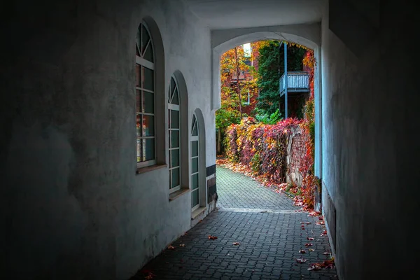 Voetgangerstunnel Naar Herfstwerf — Stockfoto