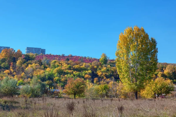 都会の公園の秋の自然 — ストック写真
