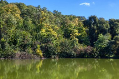 Gölde sakin bir manzara.