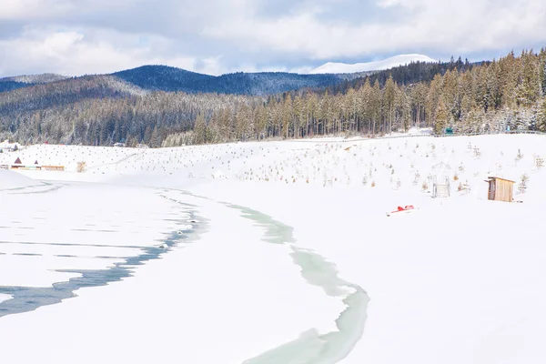 氷結した湖とモミの木の森のイメージ — ストック写真