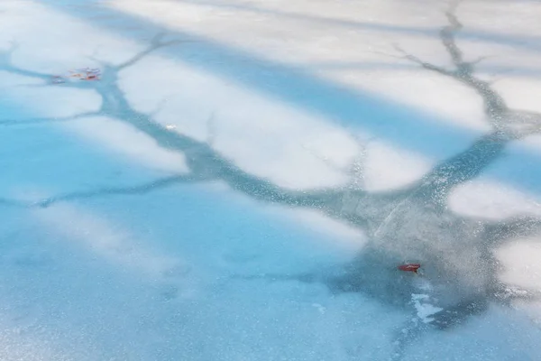 Povrchové Detaily Zamrzlého Jezera — Stock fotografie