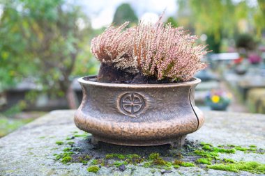 Mezarında çiçekler olan granit vazo.