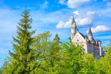 Doğal alandaki ünlü Neuschwanstein Kalesi 