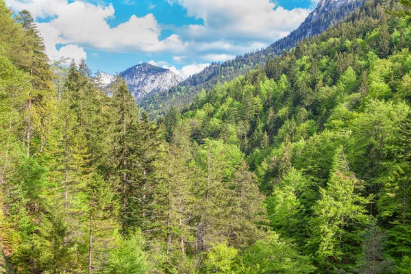 Paisaje Verdes Montañas Los Alpes — Foto de Stock