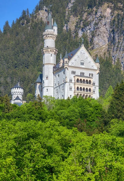 Vue Sur Château Neuschwanstein Dans Les Alpes — Photo