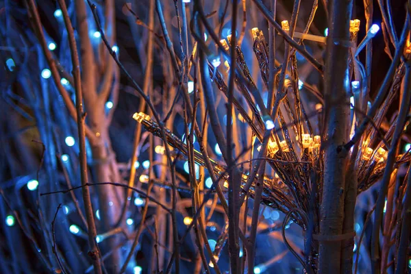 Détails Des Guirlandes Décoratives Sur Arbre — Photo