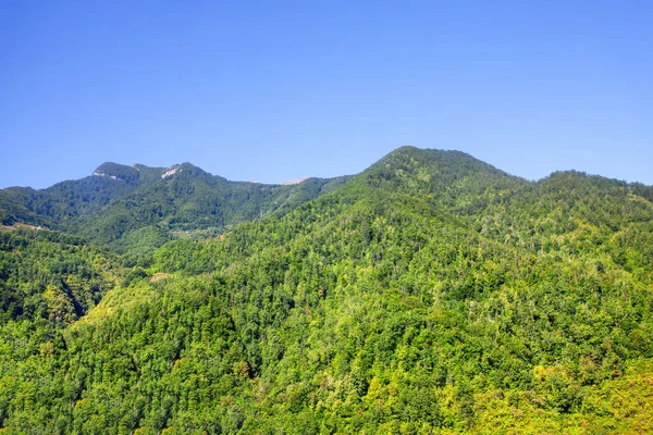 Зеленый Лес Горы Против Голубого Неба — стоковое фото