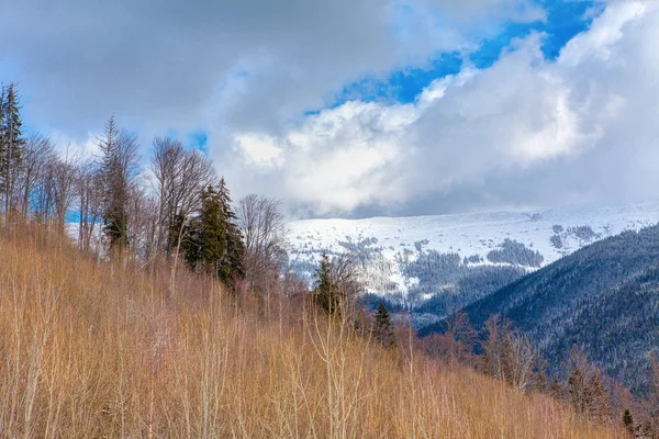 Primavera Natureza Selvagem Das Montanhas — Fotografia de Stock