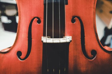 close up image of old cello