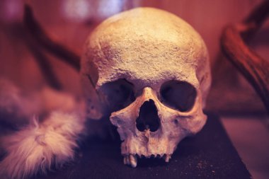 macabre image with human skull
