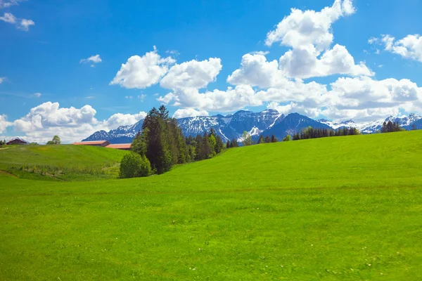 Paysage Avec Prairie Verte Alpes Enneigées Images De Stock Libres De Droits