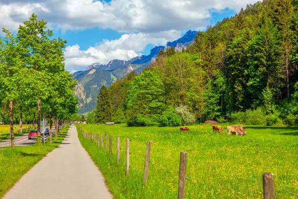 Aldeia Verde Perto Alpes Temporada Primavera — Fotografia de Stock