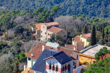 Ormanda büyük bir konak var. 