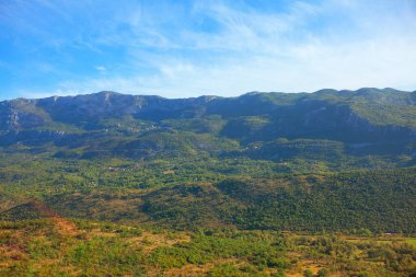 Yeşil ormanlı dağlık bir manzara. 