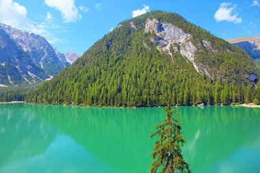 Dağda yetişen kozalaklı orman, Braies gölü manzarası. 