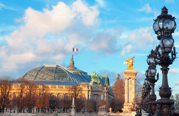 Vista Pont Alexandre Grand Palais París — Foto de Stock