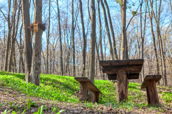 Tafel Stoelen Voor Picknick Het Bos — Stockfoto