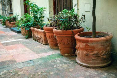 Sokak çiçeği saksıları eski tarz. 