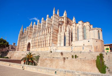 Güneşli bir günde Mallorca Katedrali 