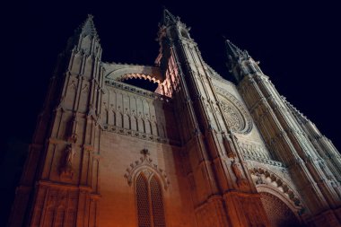 Katedral-Baslica Santa Maria de Mallorca 'nın gece manzarası