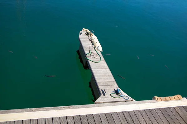 Hafen Und Fische Klaren Wasser — Stockfoto