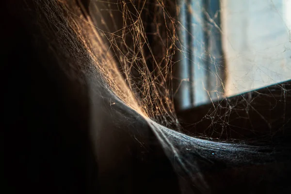 古い家の暗い隅にクモの巣 — ストック写真