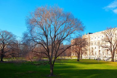 Baharda Viyana Sarayı bahçesi