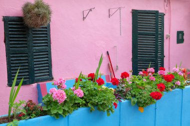 Çiçeklerle süslenmiş Arjantin kır evi 