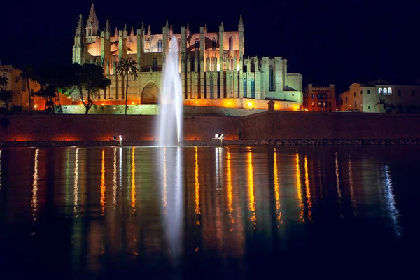 Catedral Mallorca Фонтан Освітлені Вночі — стокове фото