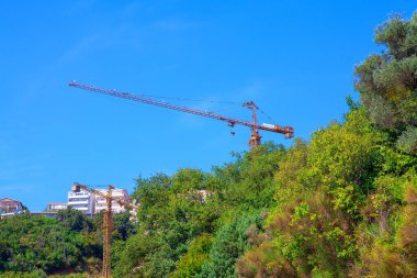 Endüstriyel vinç manzarası ve yeşil alandaki bina