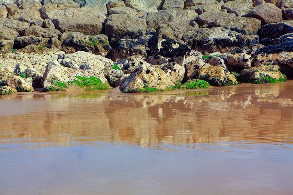 Береговые Породы Фон Мокрый Песчаный Берег — стоковое фото