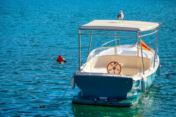 Möwe Auf Dem Motorboot — Stockfoto