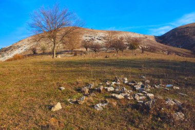 Sonbahar sonu manzarası yokuş aşağı büyüyen ağaçlarla