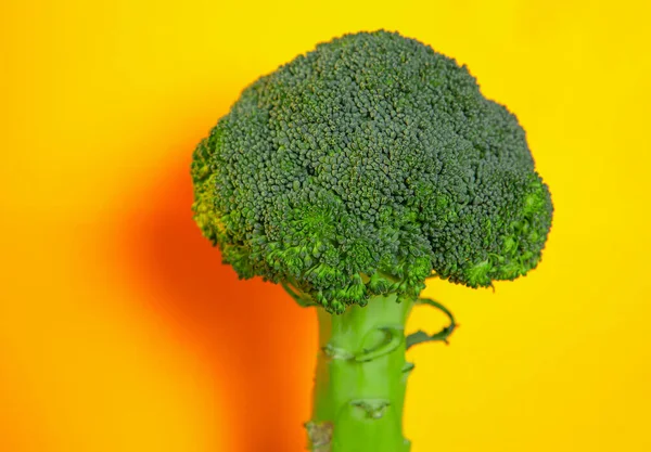 Fresh Green Broccoli Yellow Background — Stock Photo, Image