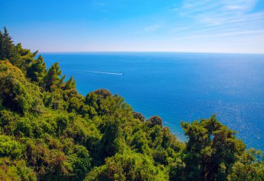 Yeşil orman ve denizde tekne manzarası.