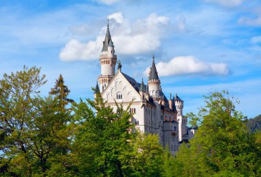 Bavyera 'daki Neuschwanstein Şatosu ormanlarla çevrili. 