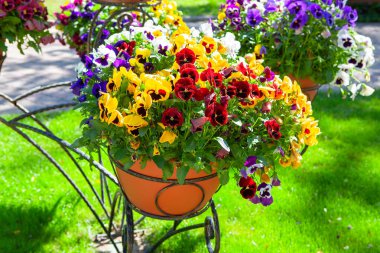 Çiçeklerle süslenmiş renkli çiçekler.