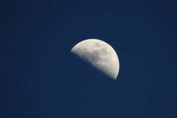 First quarter moon around dusk with a dark blue sky caused by blue hour