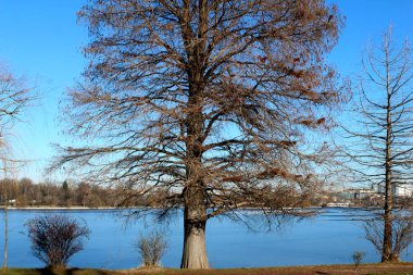 Göl şehir Bükreş