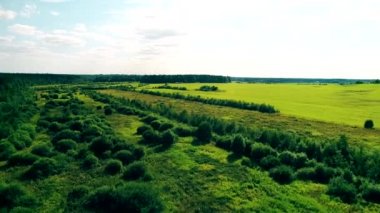 Uçağı havada çekim. Güzel alanlar ve ağaçlar.