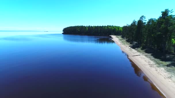Clear water lake and green forest. Onega lake in Russia. Onejskoe ozero. Aerial drone aero. — Stock Video