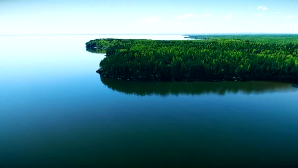 澄んだ水の湖や緑の森。ロシアでオネガ湖。Onejskoe 湖。空中ドローン エアロ. — ストック動画